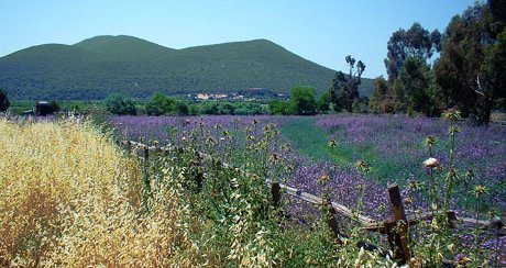 hotel in maremma toscana, alberghi a Follonica